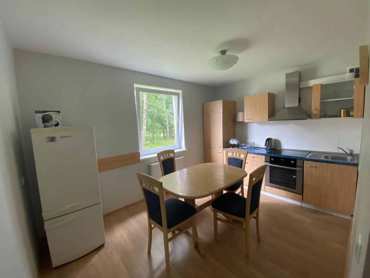 Butas Senamiestyje Apartment Druskininkai Bagian luar foto